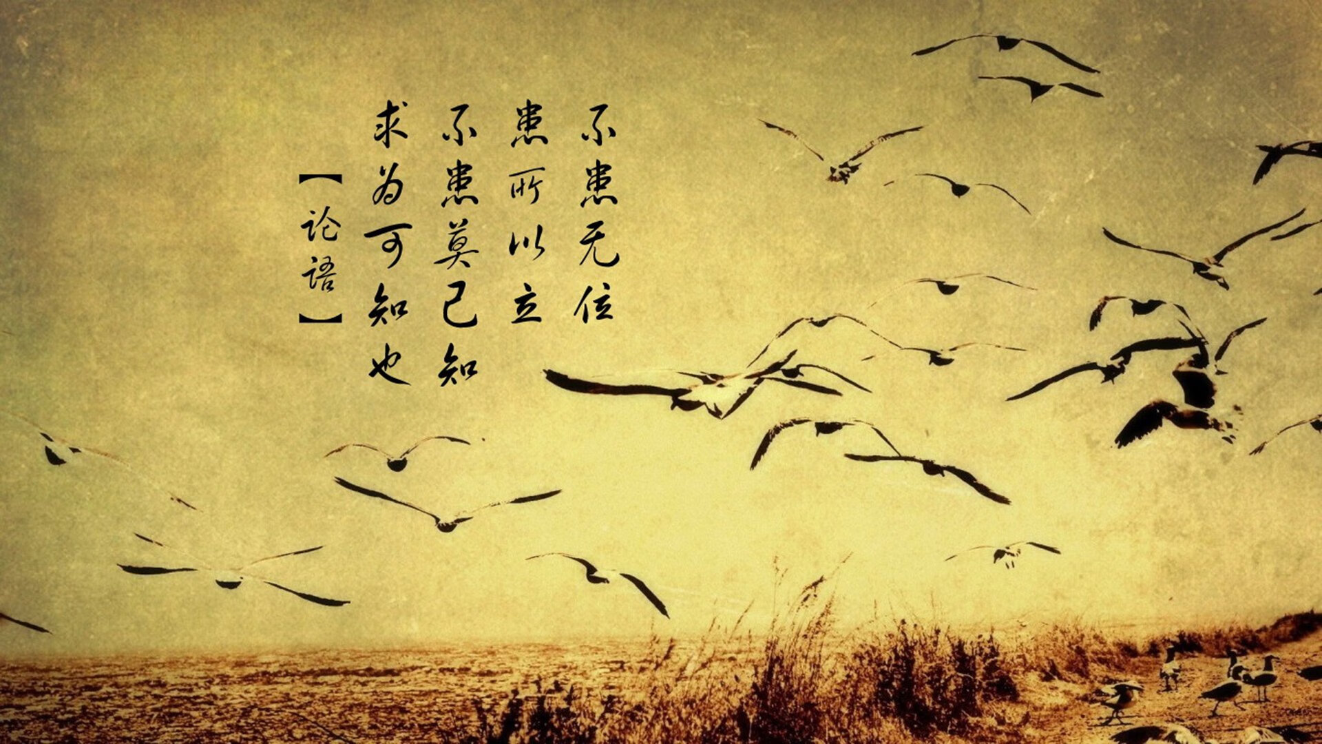 _掘金攻守平衡，战绩持续攀升_，掘金强不强