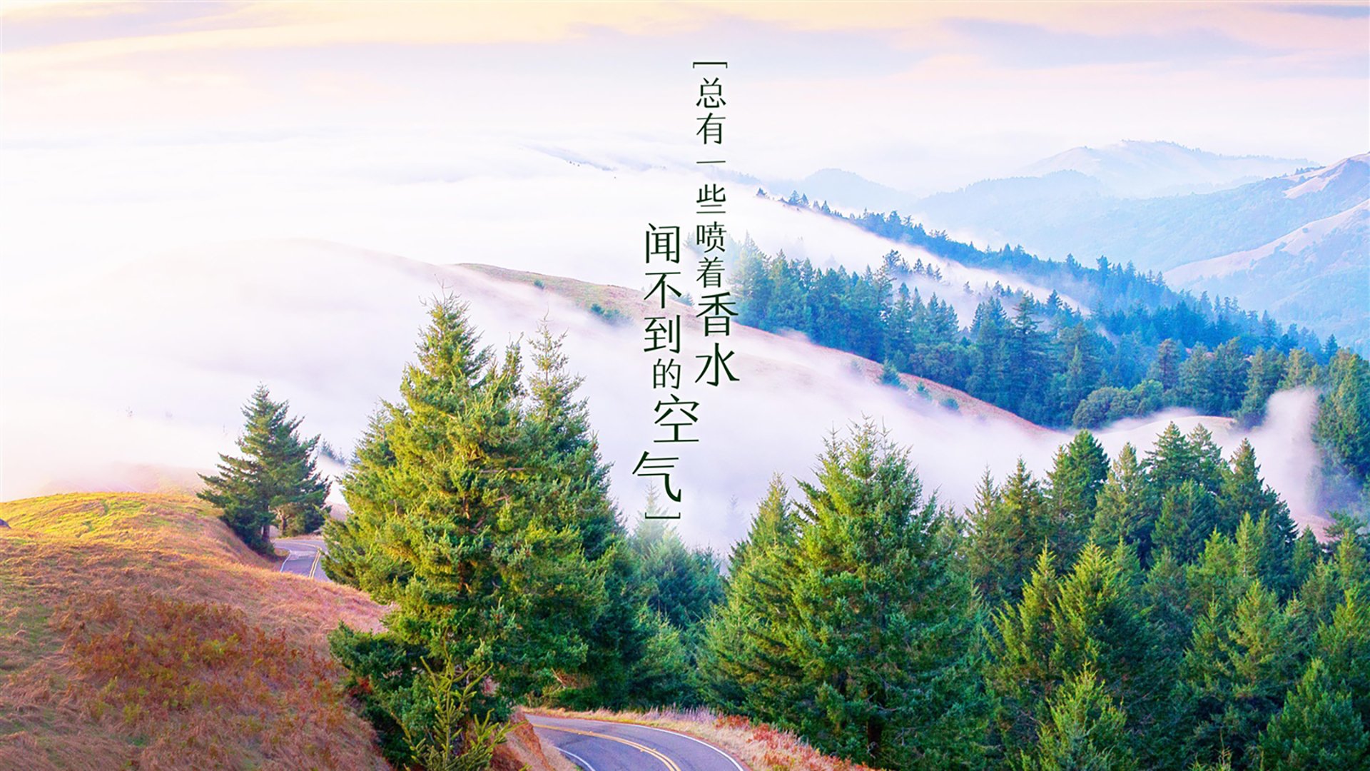 爱游戏中国官方网站平台-同曦队球队年轻球员迅速成长，同曦队教练组都有谁