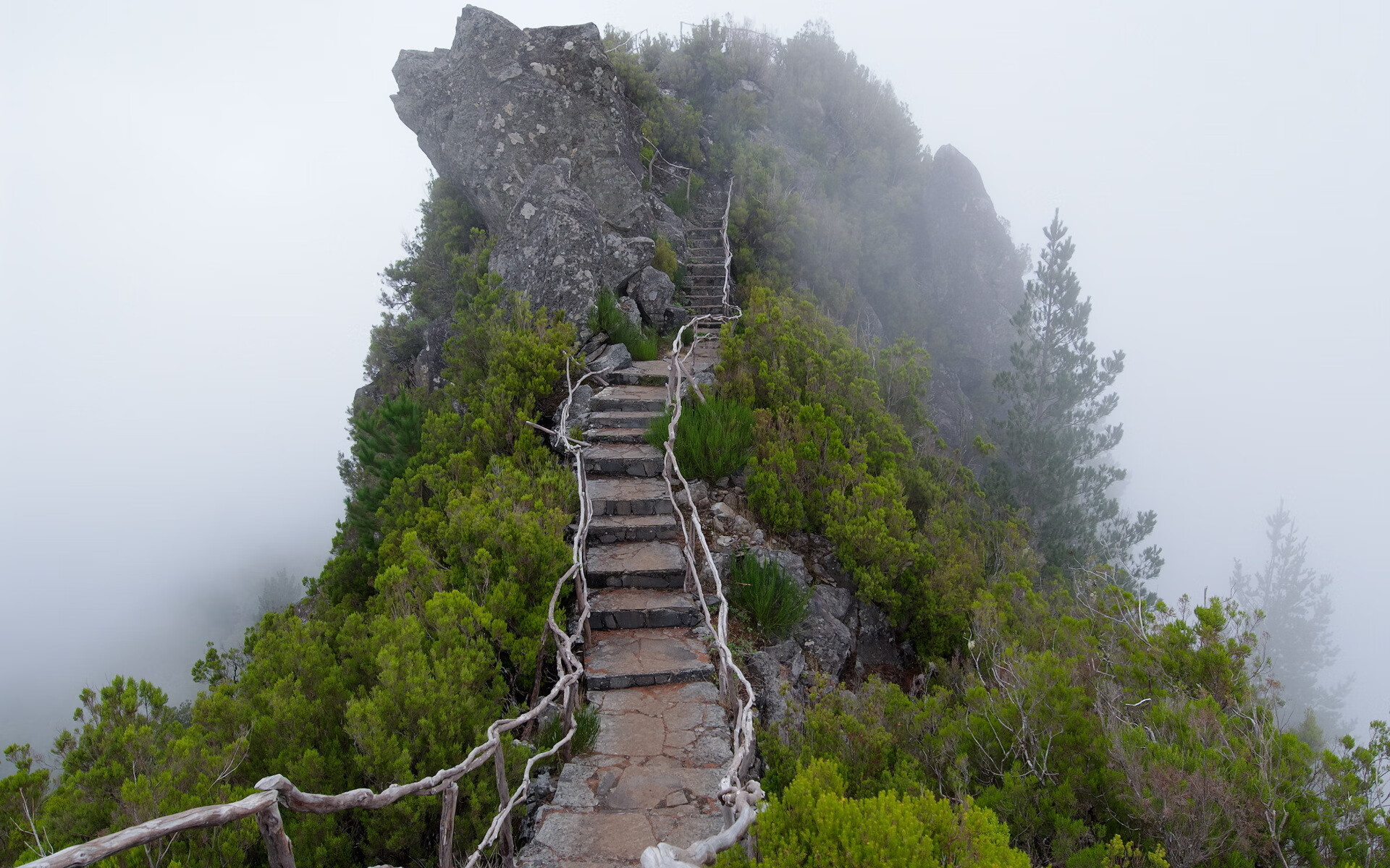 格拉纳达主场遭遇冷门，不敌对手遗憾失利，格拉纳达俱乐部