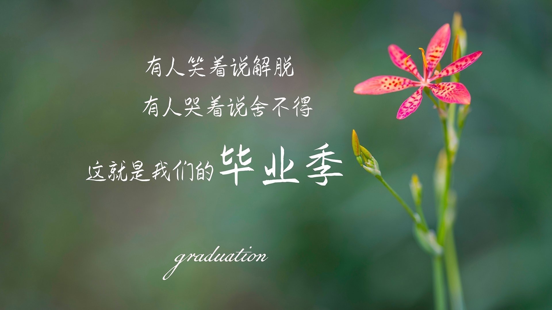 热火队防守策略升级见效明显，热火防守反击