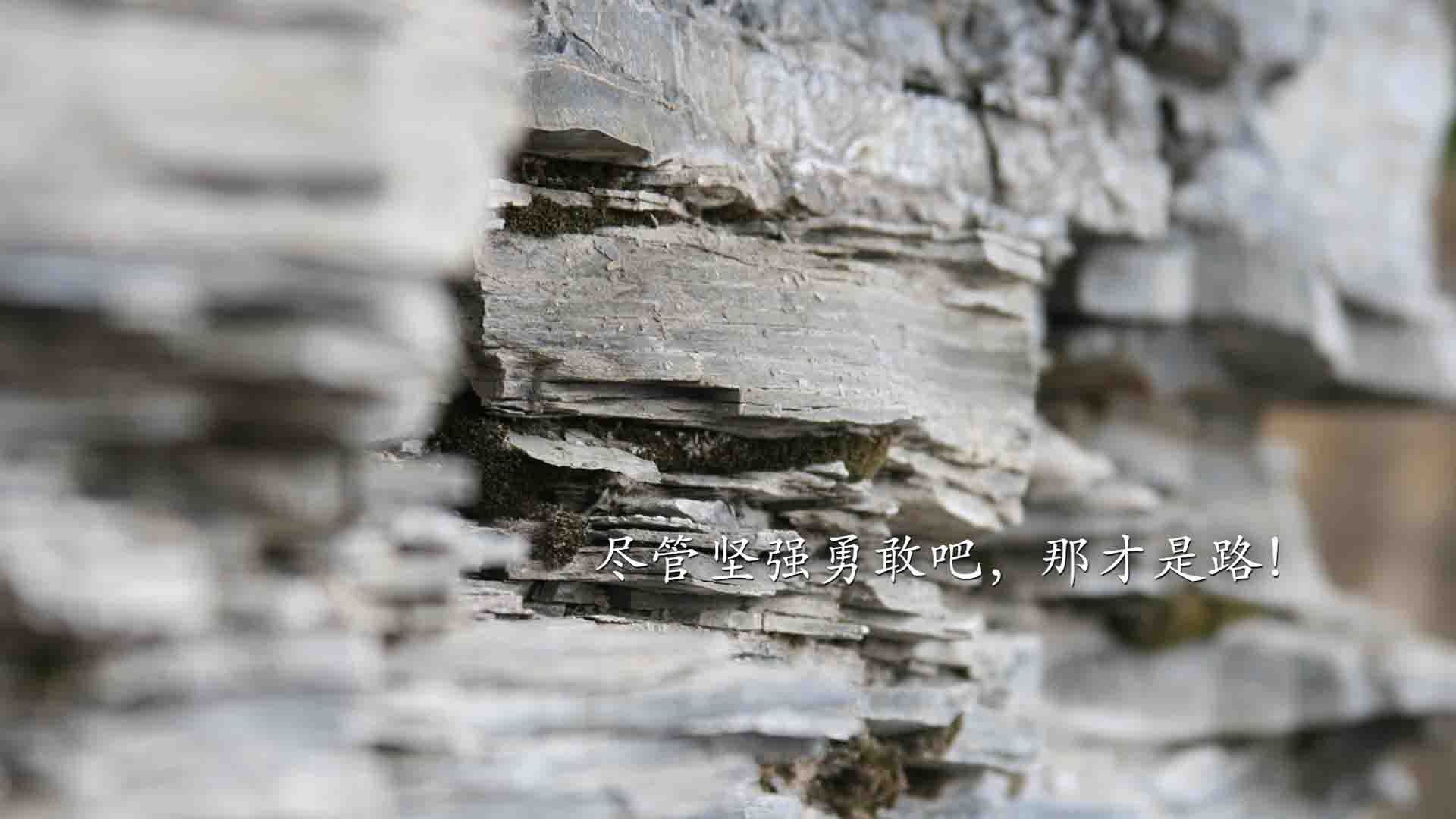 裁判员是否应加强比赛心理素质培训，裁判员素质要求