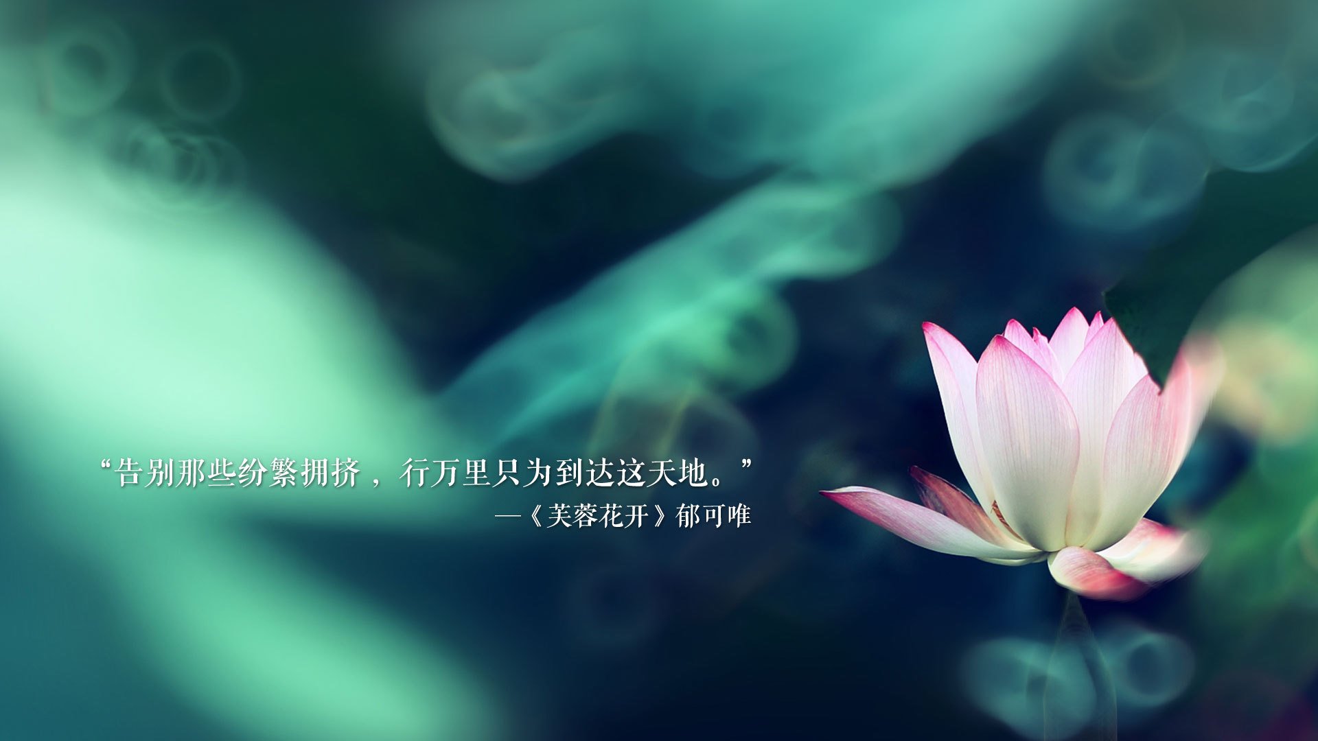 “东安湖体育公园：水上龙舟竞速，选手决战激流”