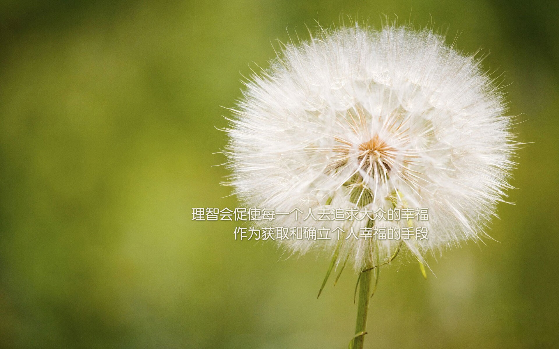 奥预赛中国队战平 球迷呼吁战术升级，奥预赛赛程