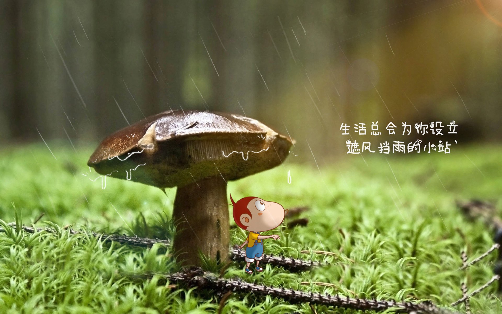 AYX体育官网-格拉纳达爆冷击败豪门，格拉纳达视频