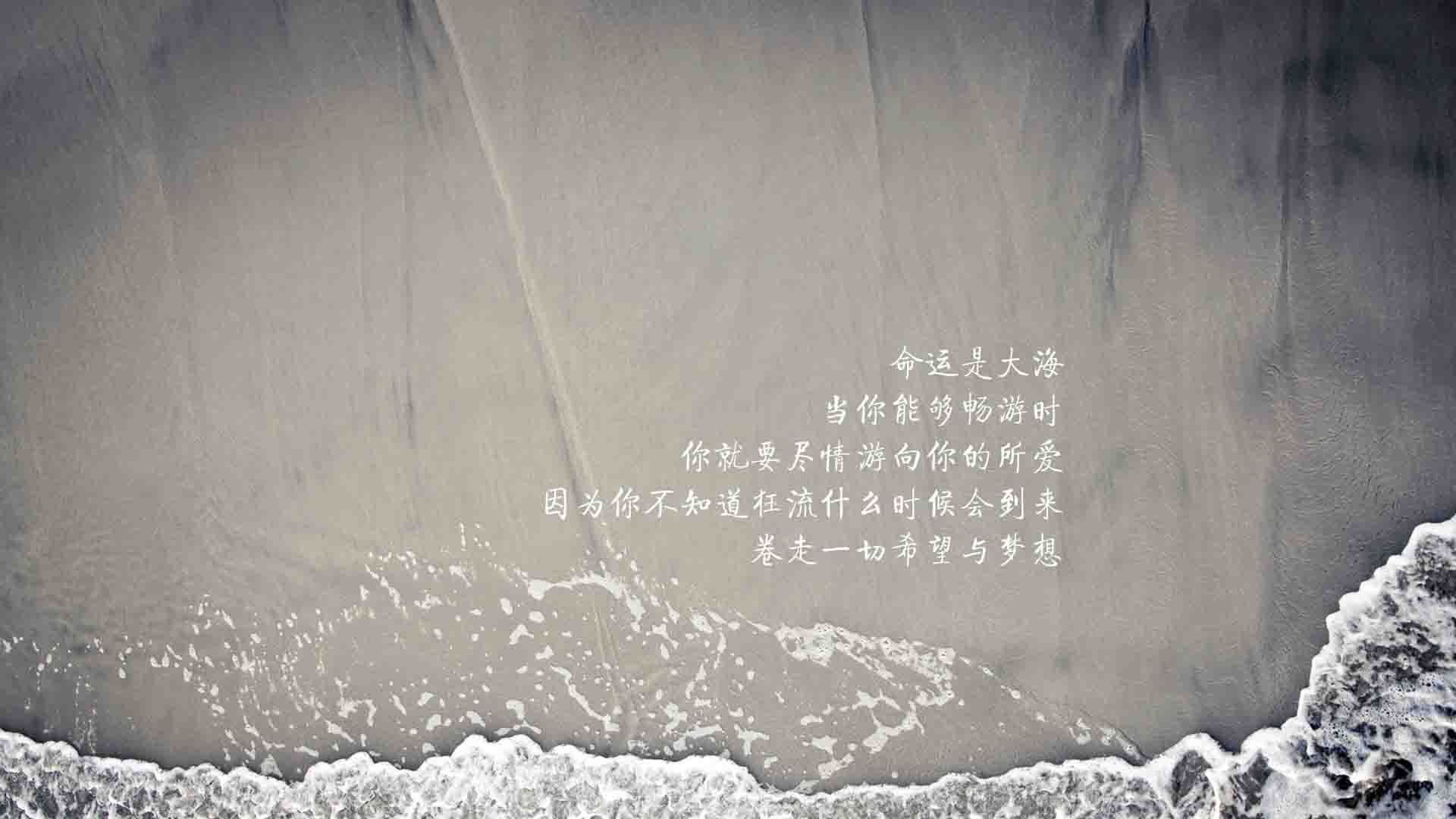 塞尔维亚女篮在欧洲大赛中表现强势，争夺冠军奖牌，塞尔维亚女篮奥运表现