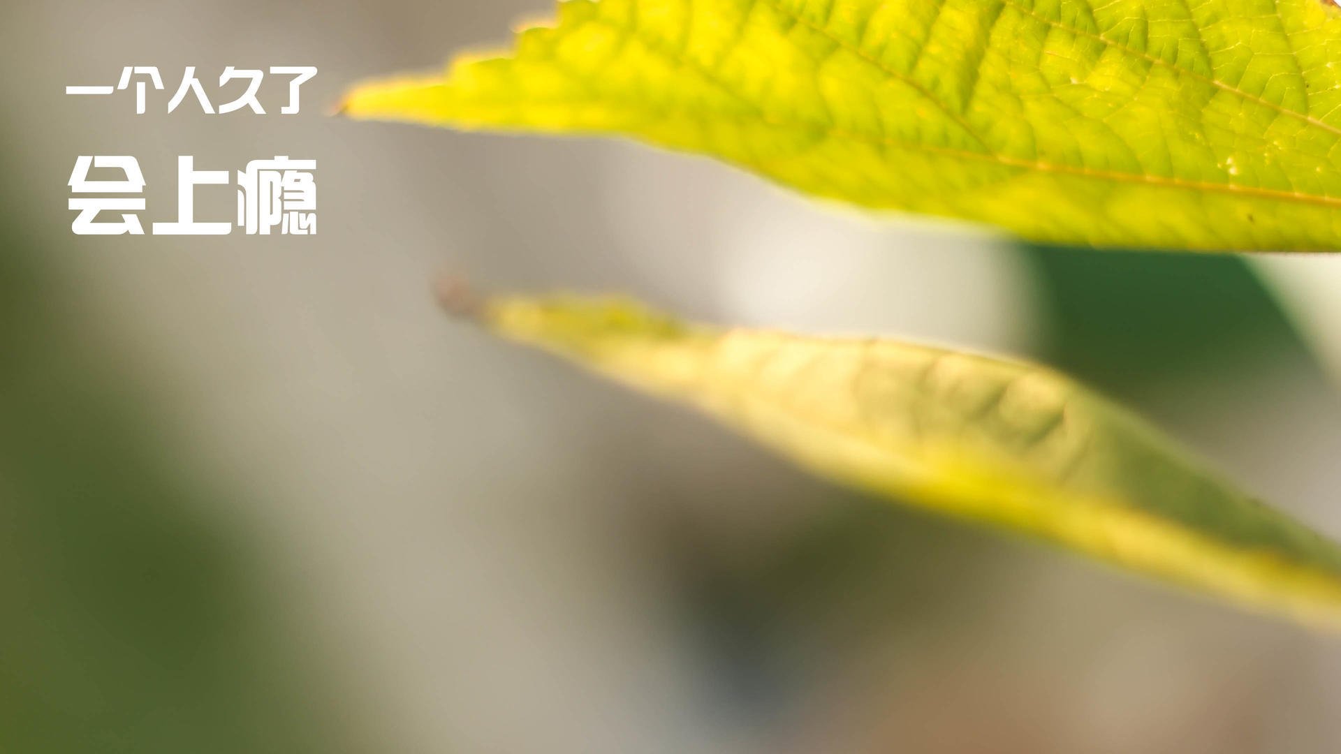 爱游戏平台-比利时男篮在欧洲预赛中冲击奖牌，迈向奥运舞台，比利时球星欧洲杯